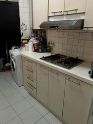 Bayshore Park (D16), Condominium #474111261